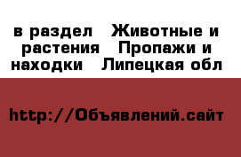  в раздел : Животные и растения » Пропажи и находки . Липецкая обл.